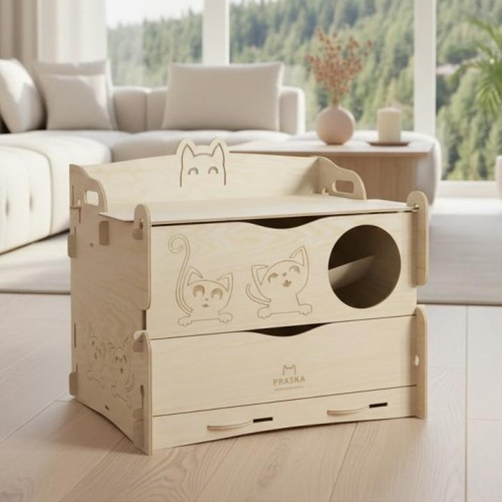 Wprowadzenie kota do domu