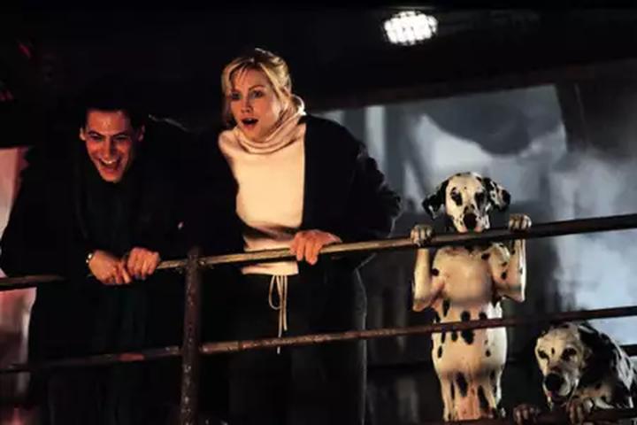 Wygląd i cechy fizyczne dalmatyńczyka