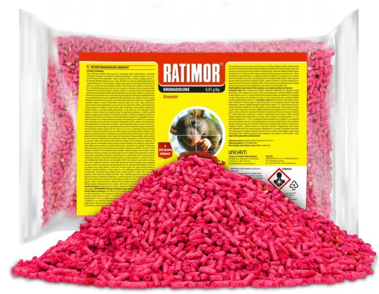 Co robić, gdy pies zatruje się trutką na szczury? Porady i pierwsza pomoc