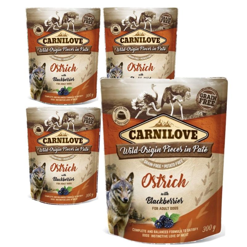 Bezpieczne owoce dla psa