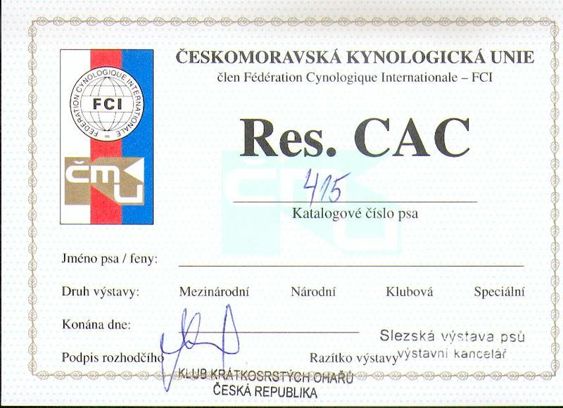 Jak uzyskać rodowód FCI