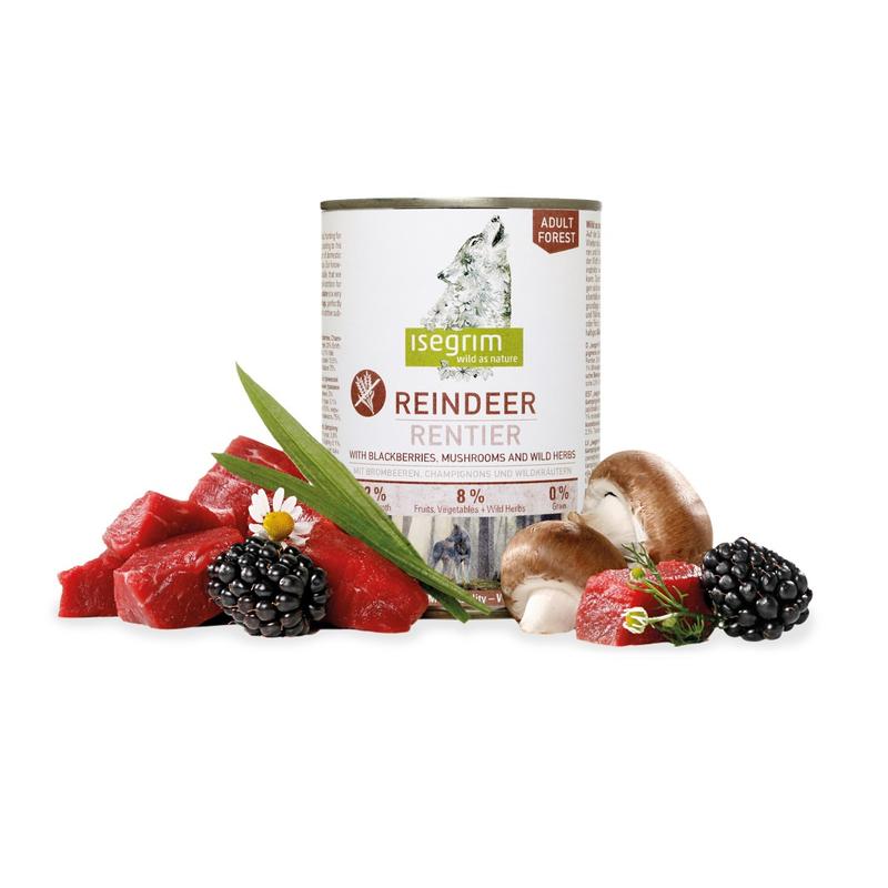 Jeżyny w diecie psa