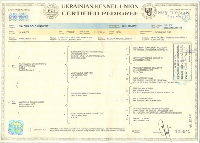 Korzyści rodowodu FCI