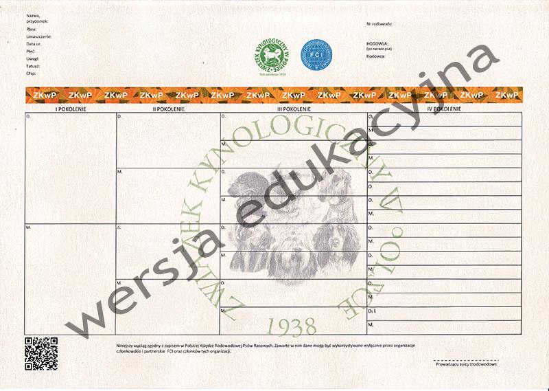 Mity i fakty o rodowodzie FCI