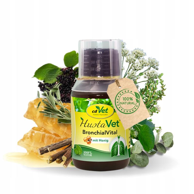 Objawy kaszlu u psów - wczesne rozpoznanie