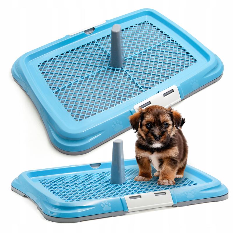 Trening czystości psa na macie