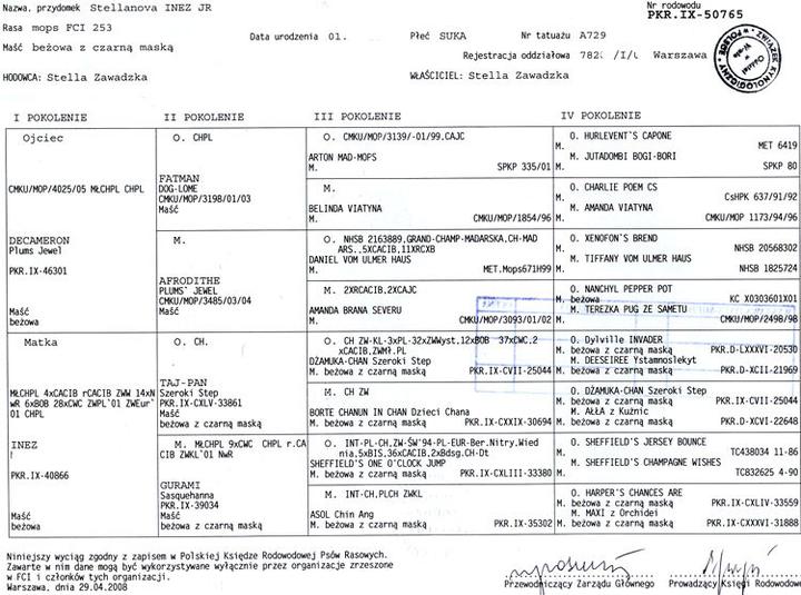 Czym jest rodowód FCI i jak go zdobyć dla swojego pupila?