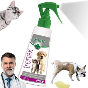 Skuteczne metody, by nauczyć psa sikać na matę – praktyczne porady dla każdego właściciela