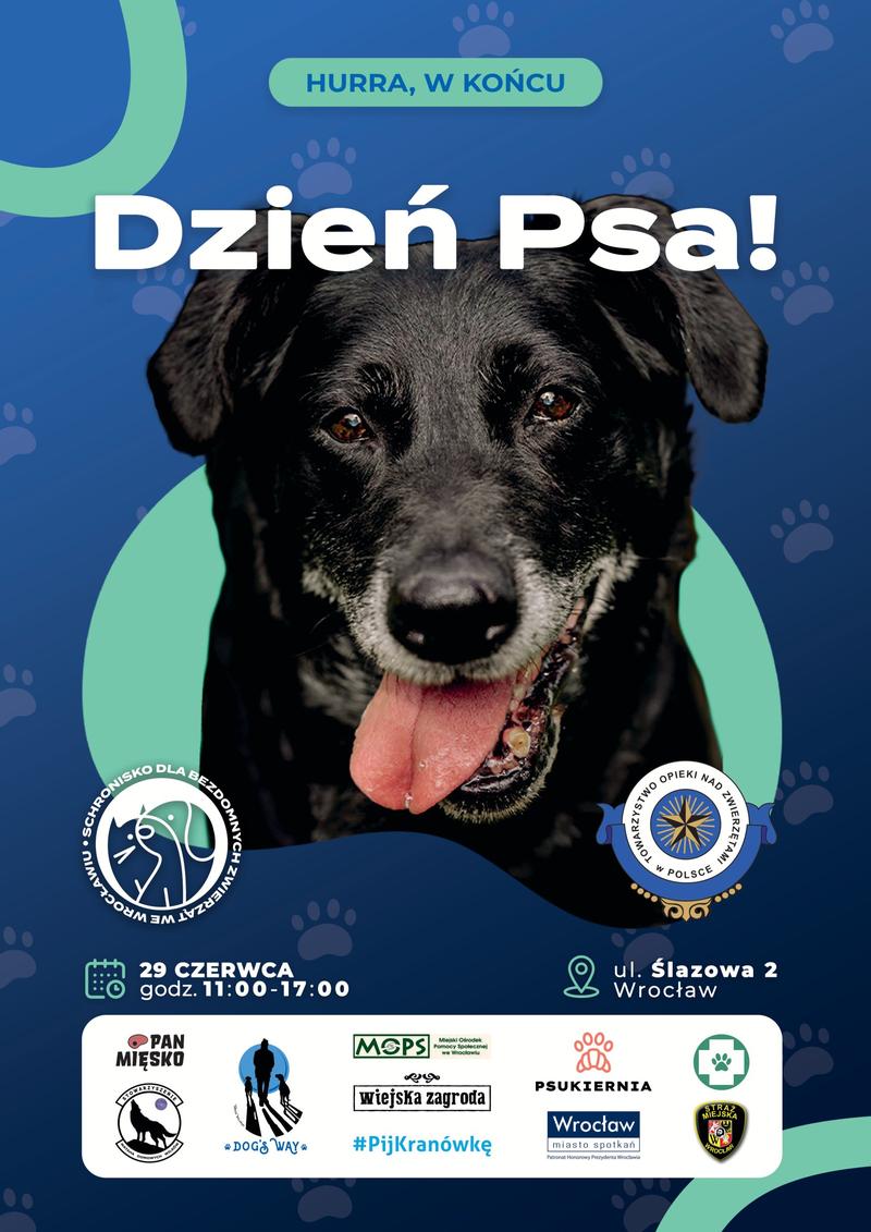 Oddanie psa do schroniska