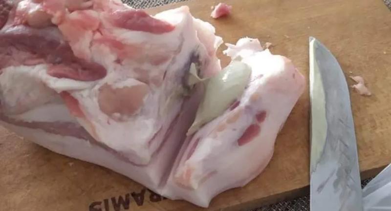 Pierwsza pomoc dla psa