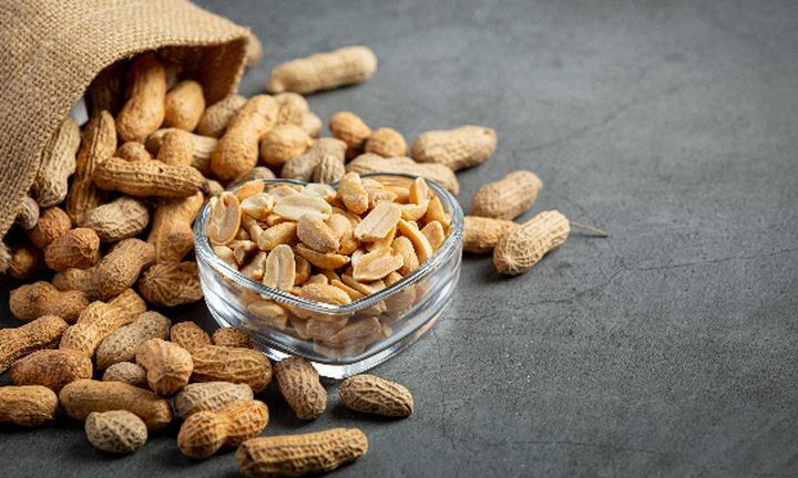 Szkodliwość orzechów dla psów