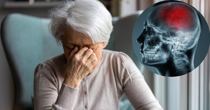 Wpływ zabawek na zachowanie i rozwój psów