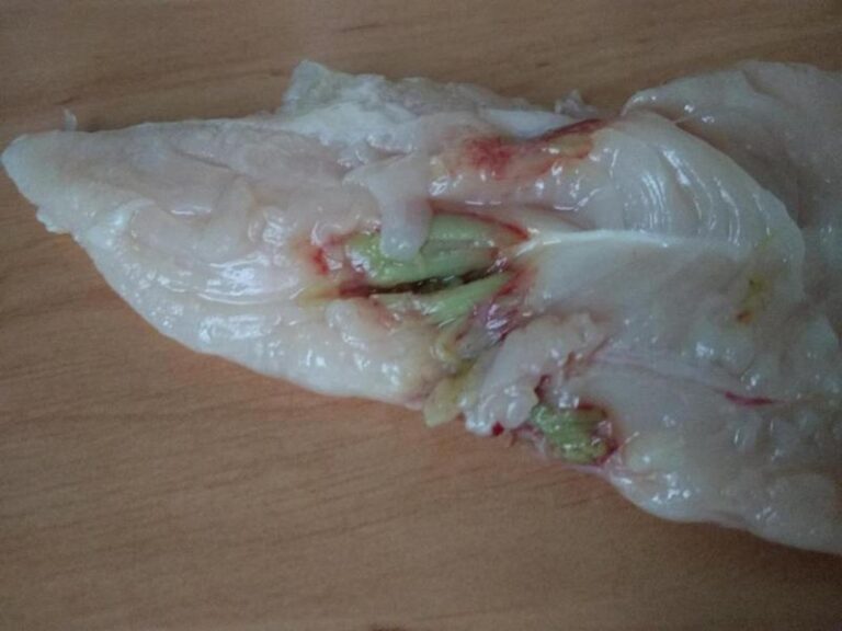 Co robić, gdy pies zjadł zepsute mięso? Sprawdź, jak mu pomóc!