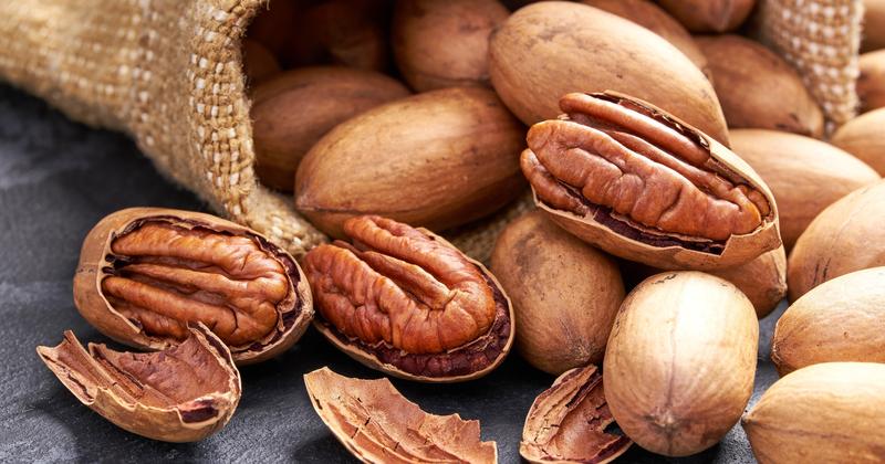 Bezpieczne przysmaki dla psów