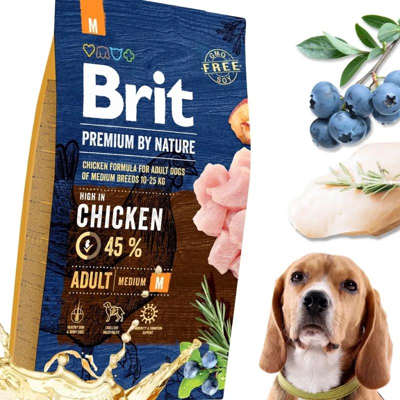 Kocia karma a zdrowie psa