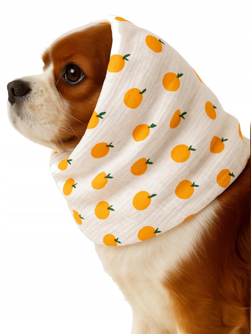 Pomarańcze dla psów