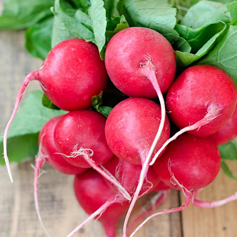 Wprowadzanie nowych pokarmów u chomików