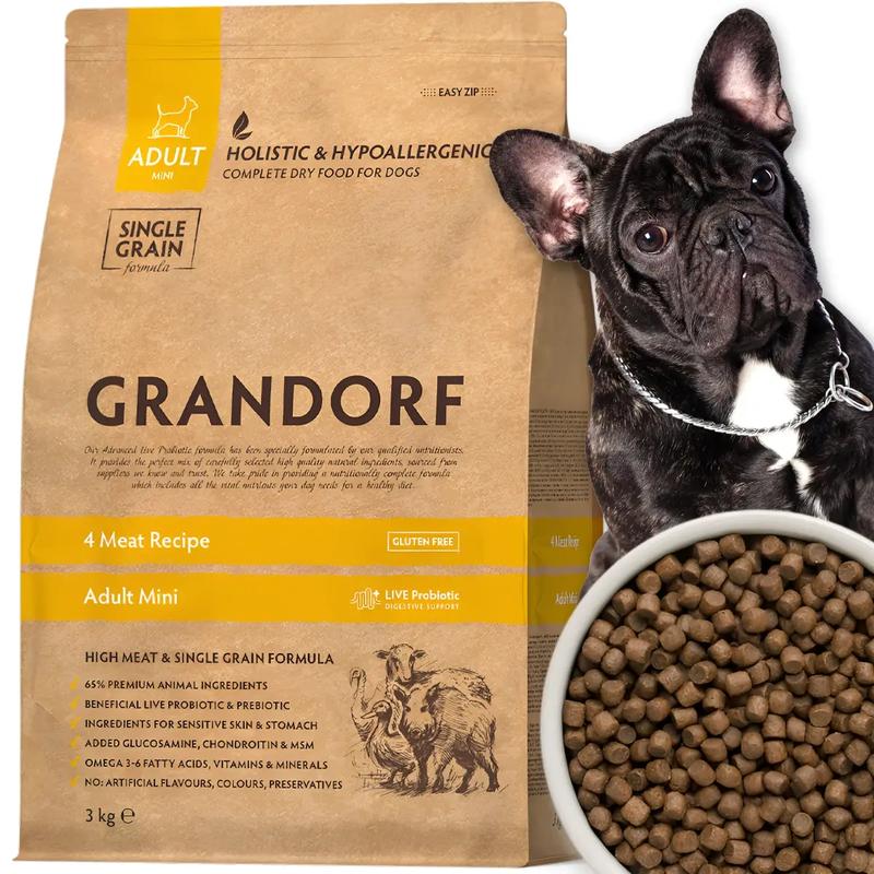 Czy pies może jeść kocią karmę? Sprawdź, jak to wpływa na zdrowie psów