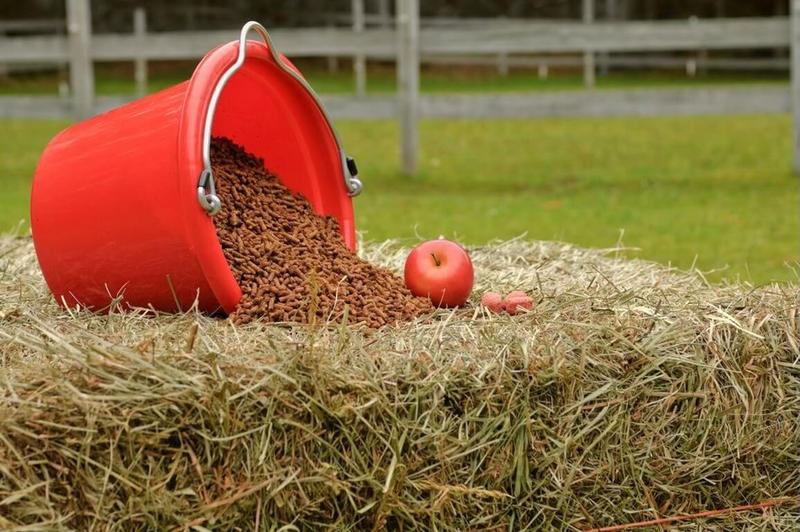 Znaczenie wody w diecie